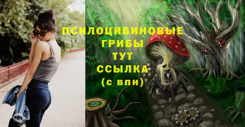 Псилоцибиновые грибы Psilocybine cubensis  Майский 